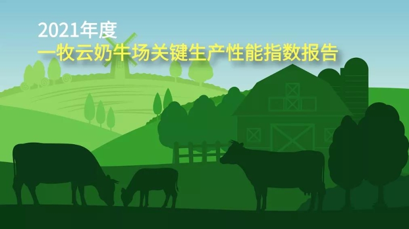 年度报告｜2021年度奶牛场关键生产性能指数报告