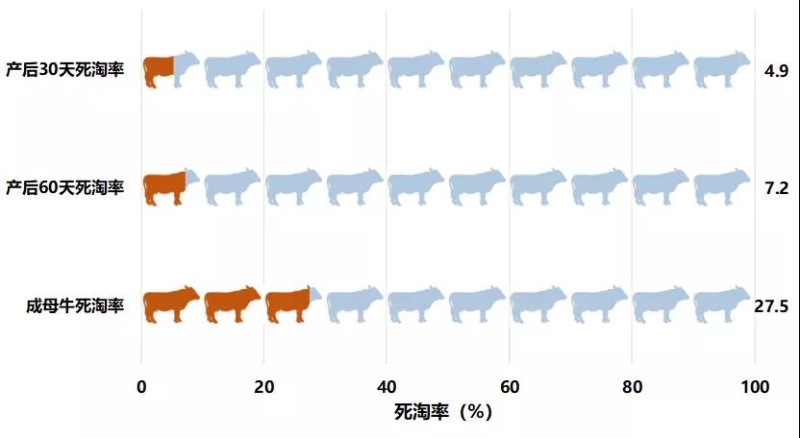 牛群健康分析总结_牛群健康评估_牛群健康