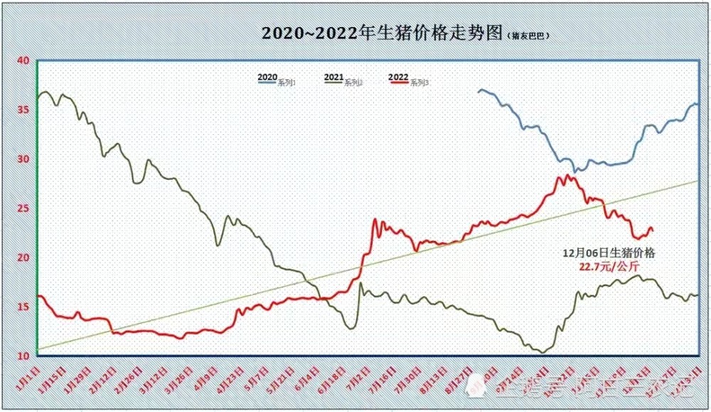 一反常态！12月6日猪价突然全线下跌，到底是为何？原因已找到！