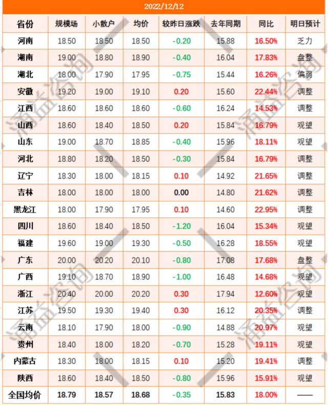 生猪期货现货双双大幅“跳水”！市场情绪跌至冰点，猪价何时迎来反弹？