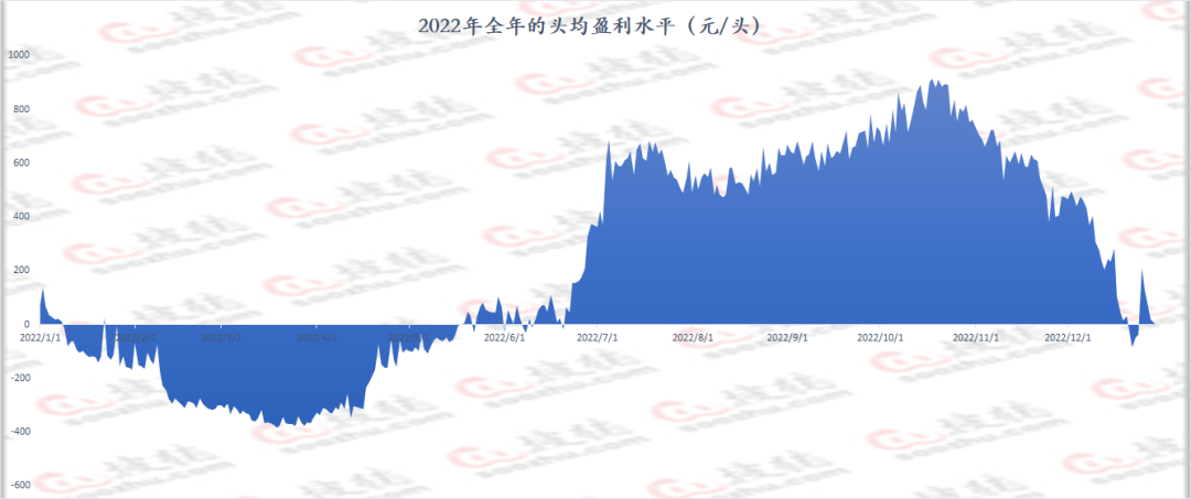 2022年生猪市场复盘及2023年展望，高价市场还能重现吗？