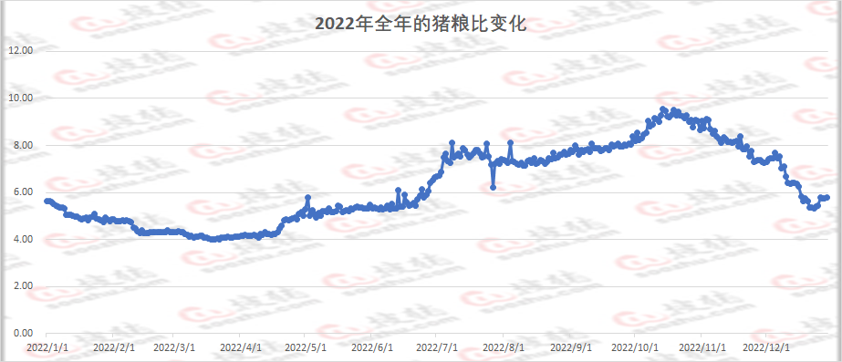2022年生猪市场复盘及2023年展望，高价市场还能重现吗？