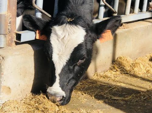 binary_middle (1).jpg