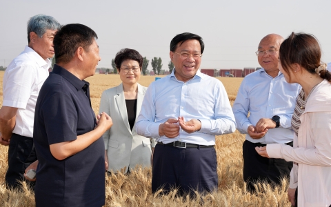韩俊在河南河北调研时强调 扎实推进粮油作物大面积单产提升行动 全力以赴夯实全年粮食丰收基础
