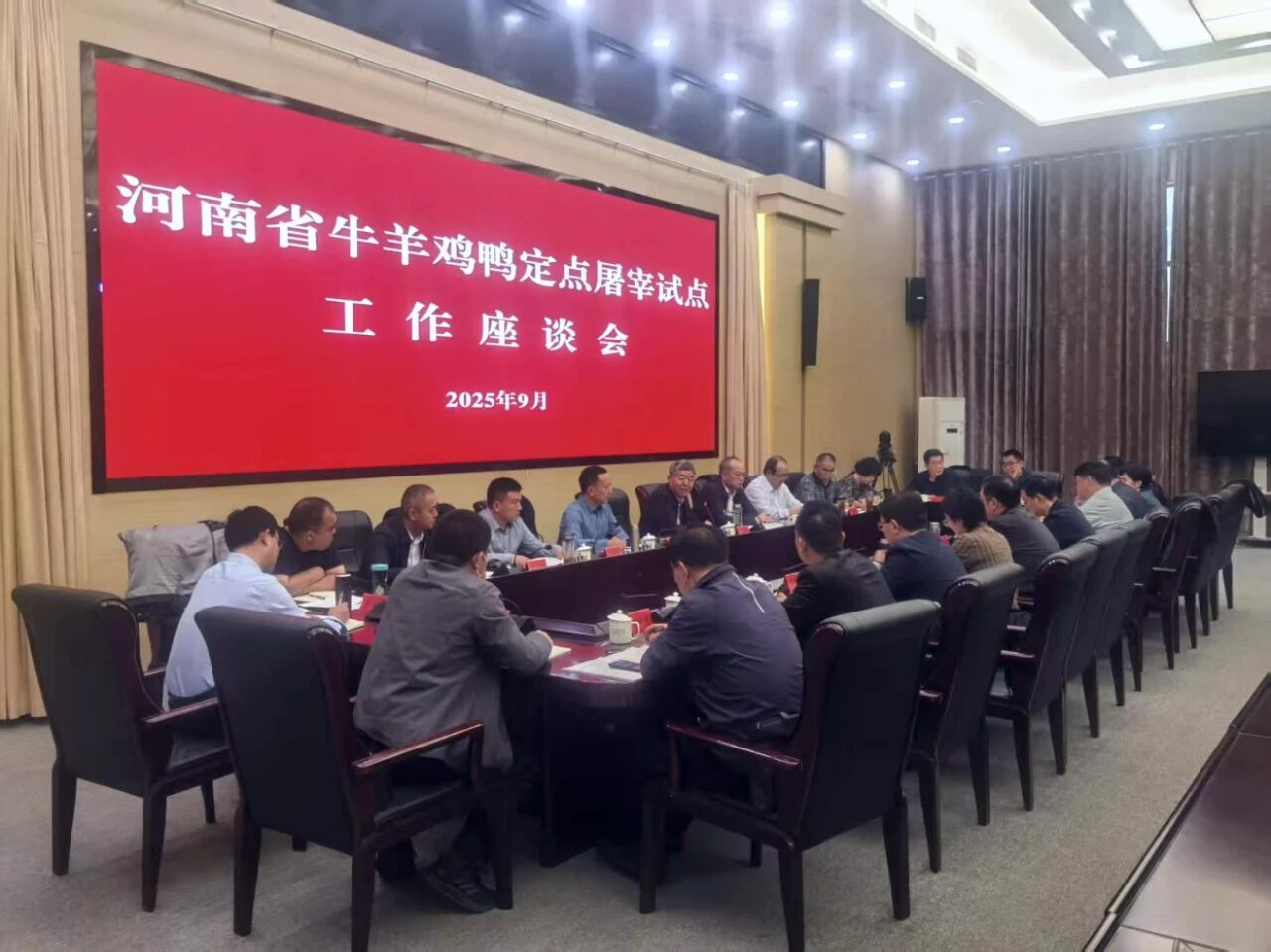 省农业农村厅组织召开牛羊鸡鸭定点屠宰试点工作座谈会