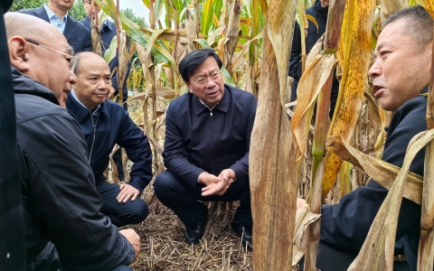 韩俊在河南调研时强调 全力抓好秋收秋种服务保障 提升农业防灾减灾救灾能力
