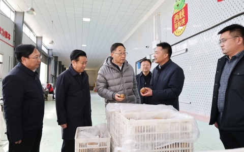 刘宁到南阳市西峡内乡南召调研推动工作时强调 突出特色优势 夯实产业基础 激活县域经济高质量发展新动能