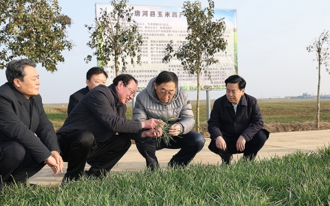 刘宁到南阳市新野唐河桐柏调研推动工作时强调 抓好粮食生产 培育特色产业 扎实推进县域经济高质量发展