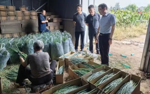 孙巍峰赴焦作市武陟县调研农药兽药生产经营使用综合整治工作