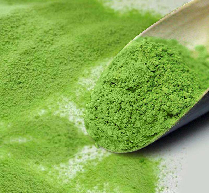 研究表明:绿茶粉可用作肉鸡饲料添加剂